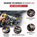 Powerful Rat Repellent Spray - Buy 1 Get 1 Free