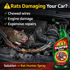 Rat Hunter Spray -Buy 1 Get 1 Free