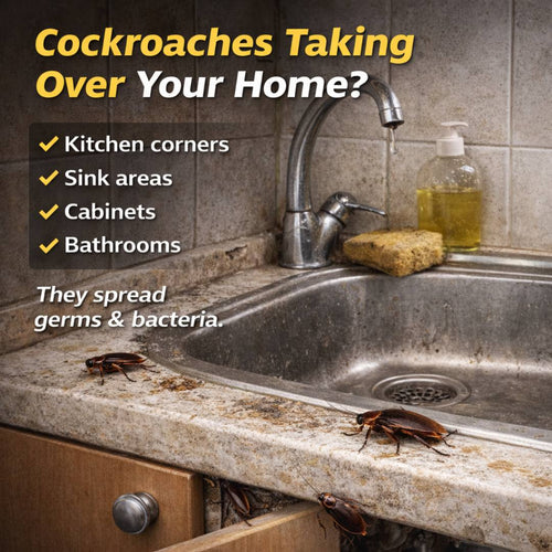 Cockroach Hunter Spray – Buy 1 Get 1 Free