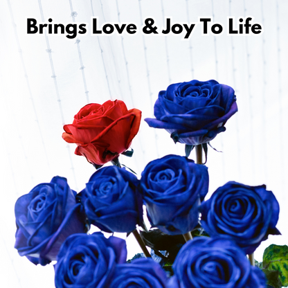 Blue Climbing Rose Seeds