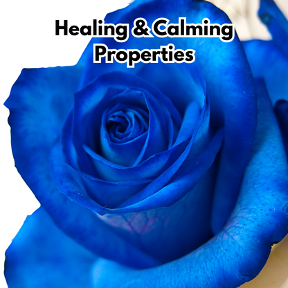 Blue Climbing Rose Seeds