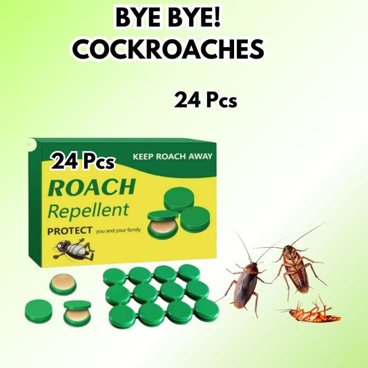 insect